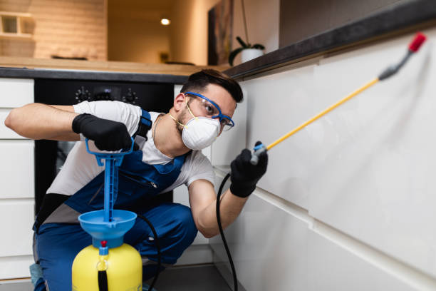 Flea Control Services in Carbon Cliff, IL