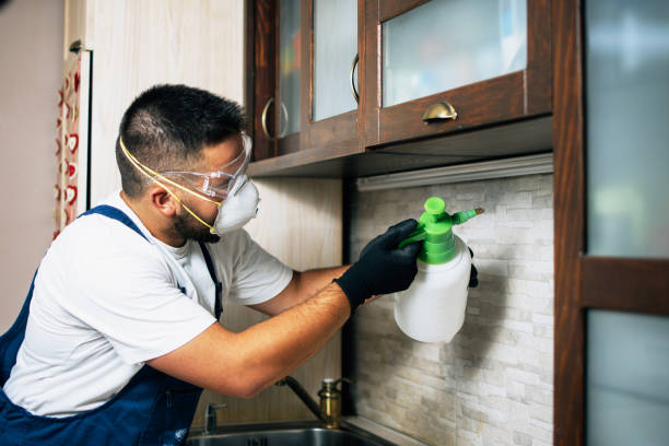 Best Rat Extermination Near Me  in Carbon Cliff, IL