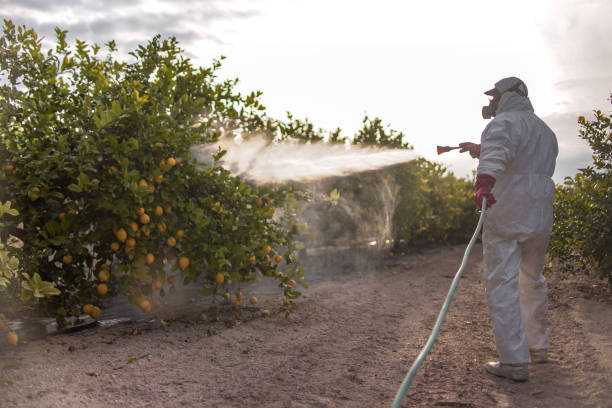 Best Exterminator Services  in Carbon Cliff, IL