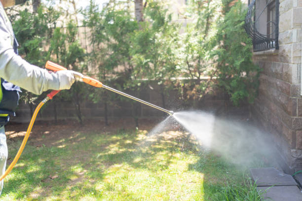 Best Flea Control Services  in Carbon Cliff, IL