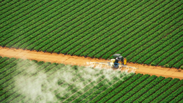 Best Pest Prevention Services  in Carbon Cliff, IL