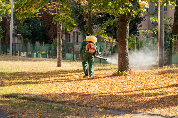 Best Best Pest Control Companies  in Carbon Cliff, IL