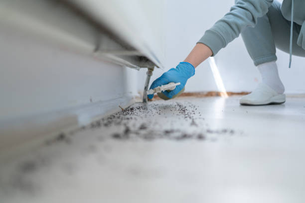 Best Best Pest Control Companies  in Carbon Cliff, IL